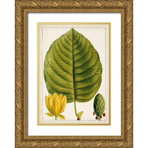 Antique Flowering Trees I Gold Ornate Wood Framed Art Print with Double Matting by Unknown