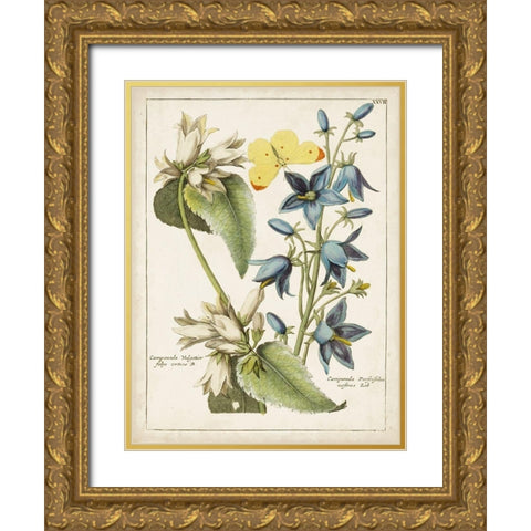 Botanical Bouquet I Gold Ornate Wood Framed Art Print with Double Matting by Unknown
