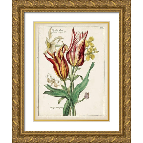 Botanical Bouquet IV Gold Ornate Wood Framed Art Print with Double Matting by Unknown