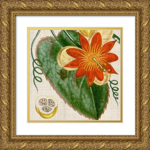 Cropped Turpin Tropicals I Gold Ornate Wood Framed Art Print with Double Matting by Vision Studio