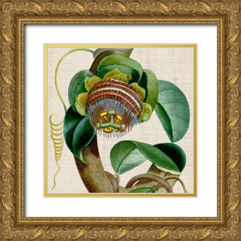 Cropped Turpin Tropicals IV Gold Ornate Wood Framed Art Print with Double Matting by Vision Studio