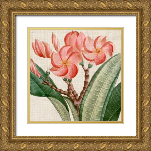 Cropped Turpin Tropicals VII Gold Ornate Wood Framed Art Print with Double Matting by Vision Studio