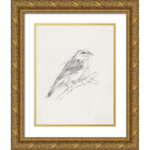 Avian StudyÂ  II Gold Ornate Wood Framed Art Print with Double Matting by Ethan Harper