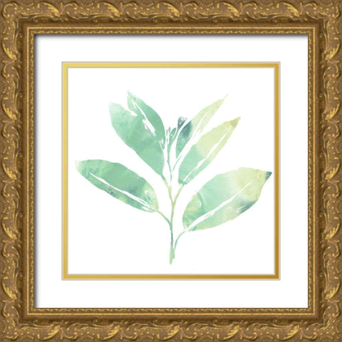 Prisma Tropical II Gold Ornate Wood Framed Art Print with Double Matting by Vess, June Erica
