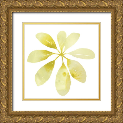 Prisma Tropical V Gold Ornate Wood Framed Art Print with Double Matting by Vess, June Erica