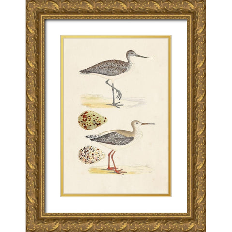 Sandpipers and Eggs I Gold Ornate Wood Framed Art Print with Double Matting by Morris