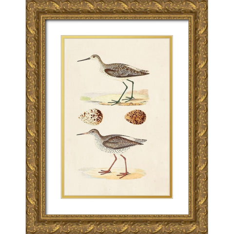 Sandpipers and Eggs II Gold Ornate Wood Framed Art Print with Double Matting by Morris