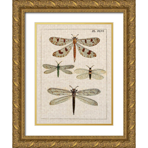 Dragonfly Study I Gold Ornate Wood Framed Art Print with Double Matting by Vision Studio