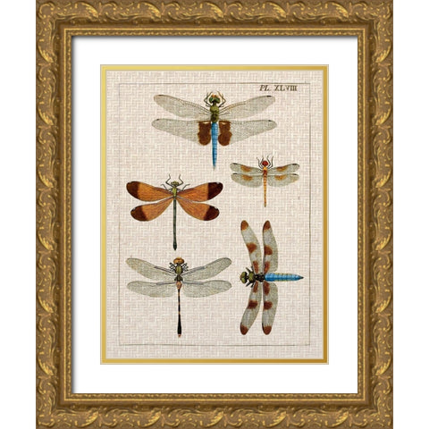 Dragonfly Study II Gold Ornate Wood Framed Art Print with Double Matting by Vision Studio