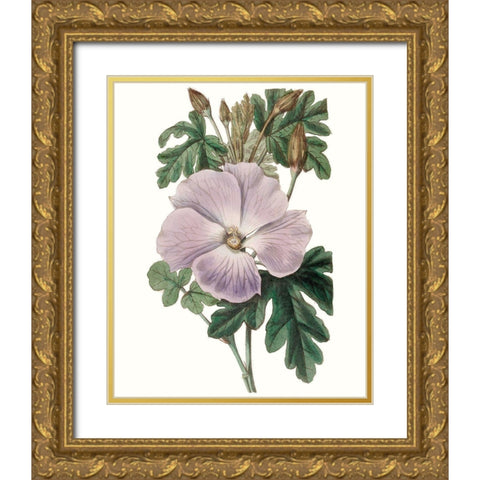 Lavender Beauties I Gold Ornate Wood Framed Art Print with Double Matting by Edwards