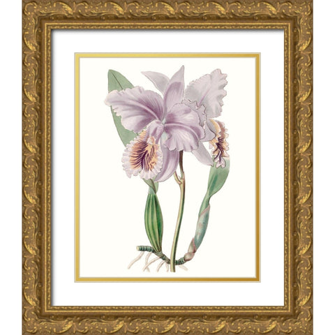Lavender Beauties II Gold Ornate Wood Framed Art Print with Double Matting by Edwards