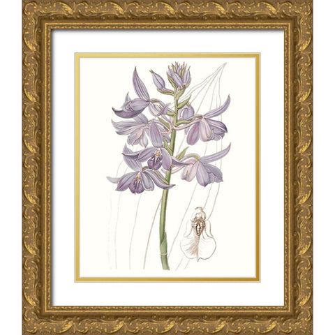 Lavender Beauties III Gold Ornate Wood Framed Art Print with Double Matting by Edwards