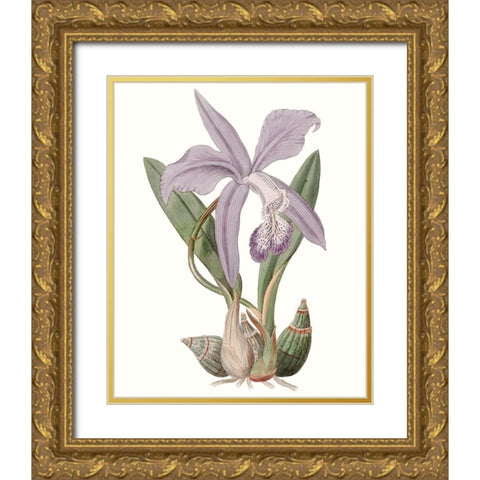 Lavender Beauties IV Gold Ornate Wood Framed Art Print with Double Matting by Edwards