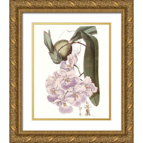 Lavender Beauties V Gold Ornate Wood Framed Art Print with Double Matting by Edwards