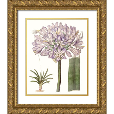 Lavender Beauties VI Gold Ornate Wood Framed Art Print with Double Matting by Edwards