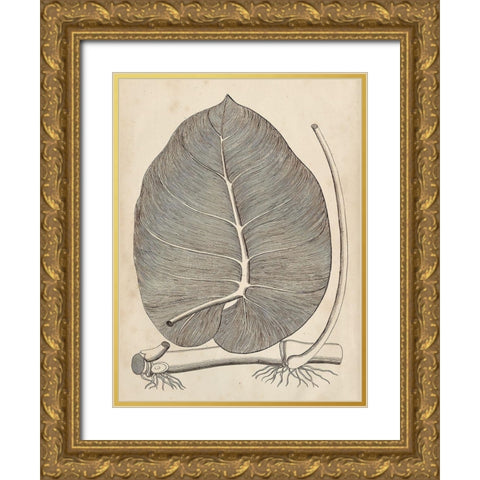 Distinctive Leaves II Gold Ornate Wood Framed Art Print with Double Matting by Vision Studio
