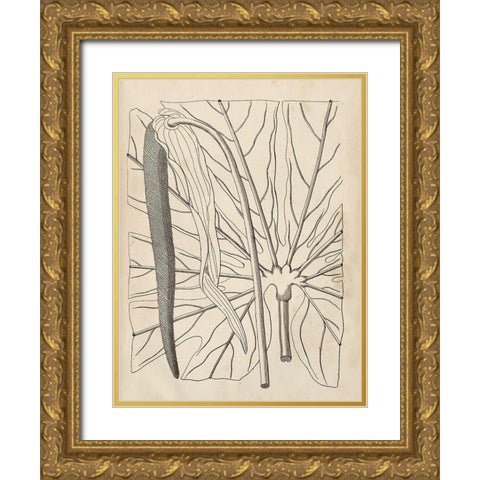 Distinctive Leaves IV Gold Ornate Wood Framed Art Print with Double Matting by Vision Studio