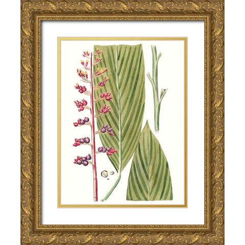 Leaves of the Tropics III Gold Ornate Wood Framed Art Print with Double Matting by Vision Studio