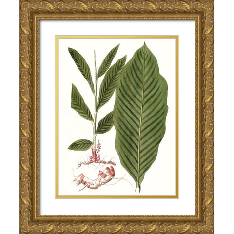 Leaves of the Tropics IV Gold Ornate Wood Framed Art Print with Double Matting by Vision Studio