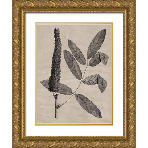 Eloquent Leaves I Gold Ornate Wood Framed Art Print with Double Matting by Vision Studio