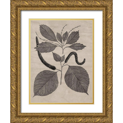 Eloquent Leaves II Gold Ornate Wood Framed Art Print with Double Matting by Vision Studio