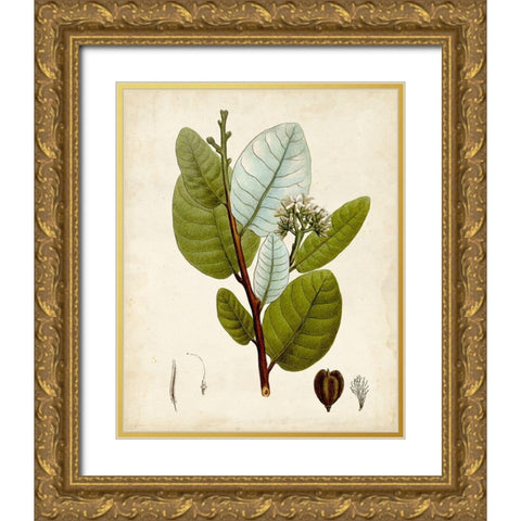 Verdant Foliage I Gold Ornate Wood Framed Art Print with Double Matting by Vision Studio