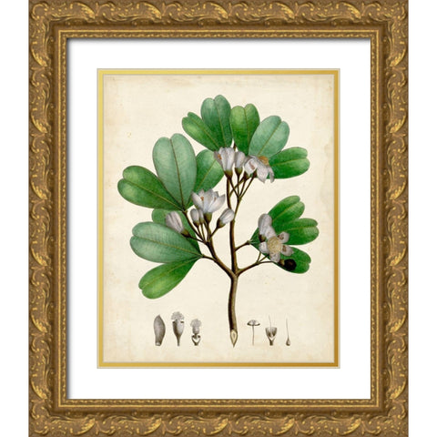 Verdant Foliage III Gold Ornate Wood Framed Art Print with Double Matting by Vision Studio