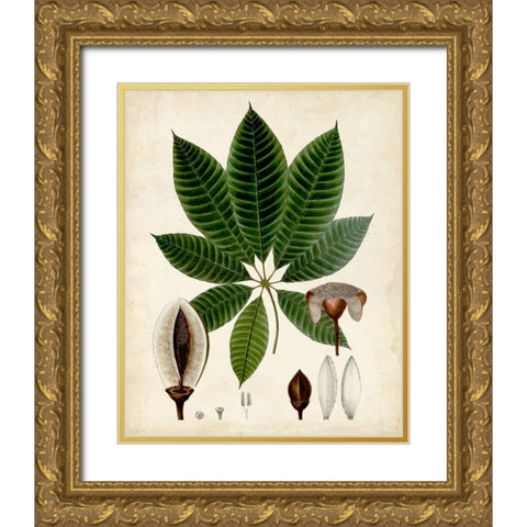Verdant Foliage VII Gold Ornate Wood Framed Art Print with Double Matting by Vision Studio