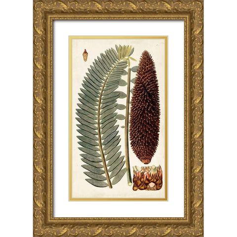 Leaf Varieties IV Gold Ornate Wood Framed Art Print with Double Matting by Vision Studio