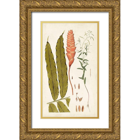 Leaf Varieties VII Gold Ornate Wood Framed Art Print with Double Matting by Vision Studio