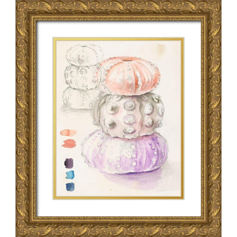 Sea Urchin Sketches I Gold Ornate Wood Framed Art Print with Double Matting by Parker, Jennifer Paxton