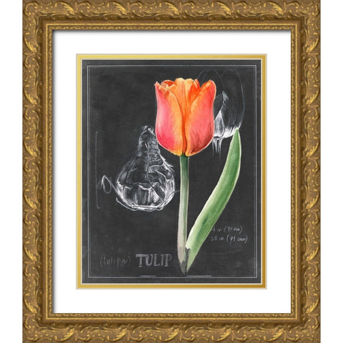 Chalkboard Flower III Gold Ornate Wood Framed Art Print with Double Matting by Parker, Jennifer Paxton