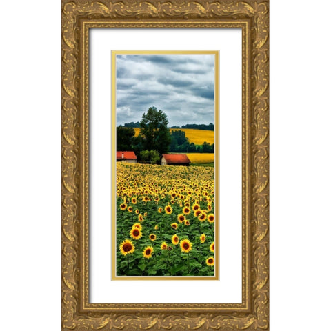 Pastoral Countryside IV - A Gold Ornate Wood Framed Art Print with Double Matting by Chester, Colby