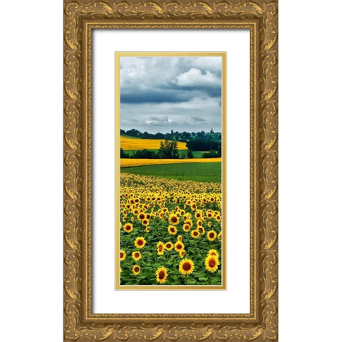Pastoral Countryside IV - B Gold Ornate Wood Framed Art Print with Double Matting by Chester, Colby