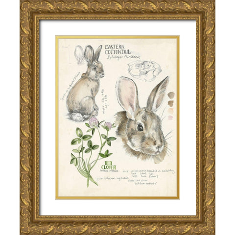 Wildlife Journals II Gold Ornate Wood Framed Art Print with Double Matting by Parker, Jennifer Paxton