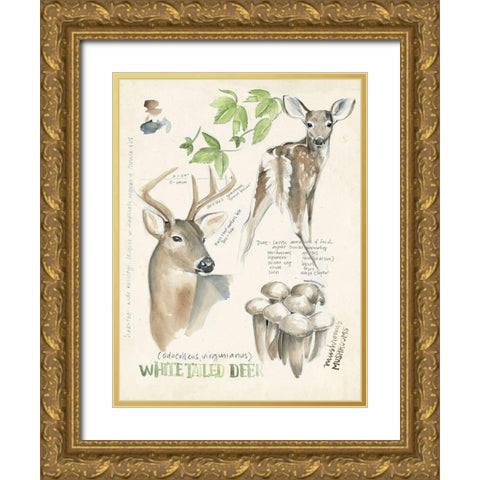Wildlife Journals IV Gold Ornate Wood Framed Art Print with Double Matting by Parker, Jennifer Paxton