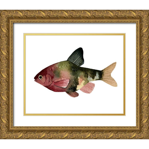 Rainbow Fish IV Gold Ornate Wood Framed Art Print with Double Matting by Scarvey, Emma