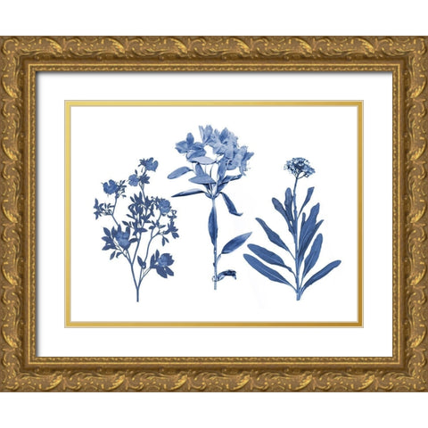Indigo Pressed Florals II Gold Ornate Wood Framed Art Print with Double Matting by Studio W
