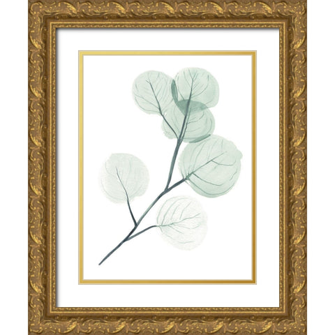 Silver Dollars II Gold Ornate Wood Framed Art Print with Double Matting by Parker, Jennifer Paxton