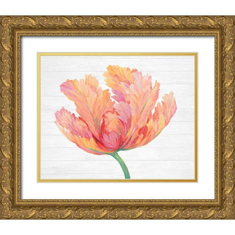 Single Pink Bloom II Gold Ornate Wood Framed Art Print with Double Matting by OToole, Tim
