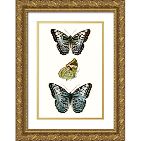 Butterfly Specimen I Gold Ornate Wood Framed Art Print with Double Matting by Vision Studio