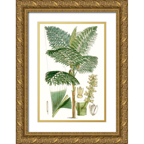 Curtis Palms II Gold Ornate Wood Framed Art Print with Double Matting by Curtis