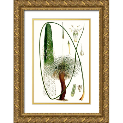 Curtis Palms V Gold Ornate Wood Framed Art Print with Double Matting by Curtis