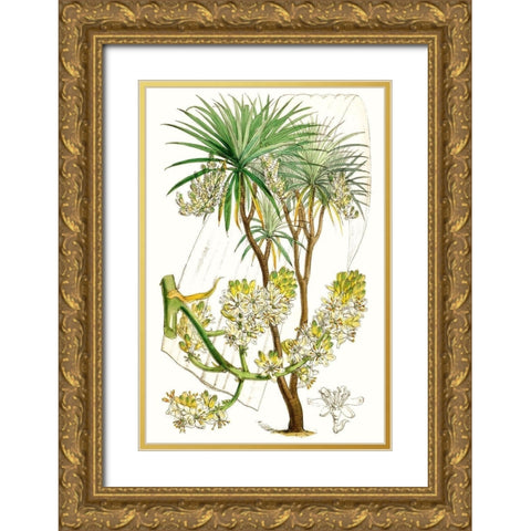 Curtis Palms VI Gold Ornate Wood Framed Art Print with Double Matting by Curtis