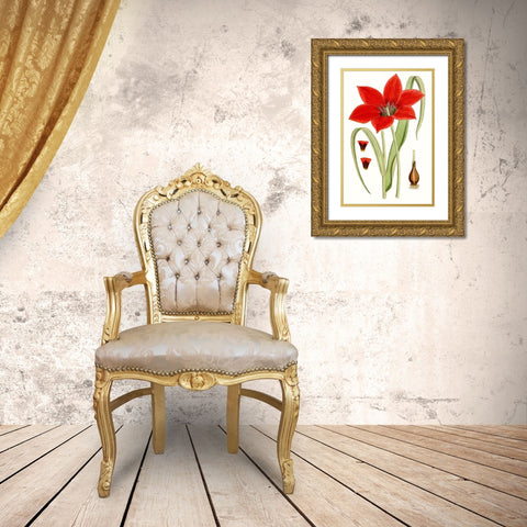 Curtis Tulips IV Gold Ornate Wood Framed Art Print with Double Matting by Curtis