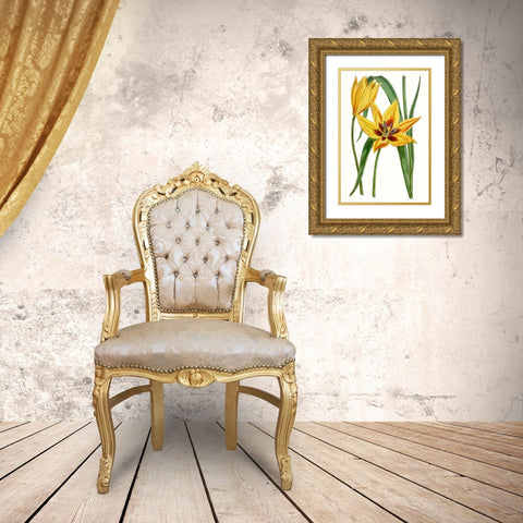 Curtis Tulips VI Gold Ornate Wood Framed Art Print with Double Matting by Curtis