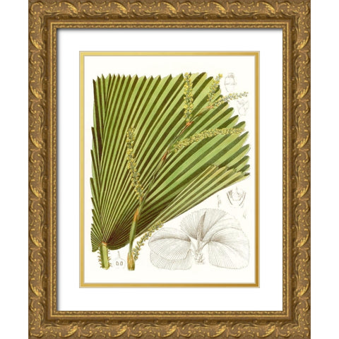 Palm Melange I Gold Ornate Wood Framed Art Print with Double Matting by Curtis