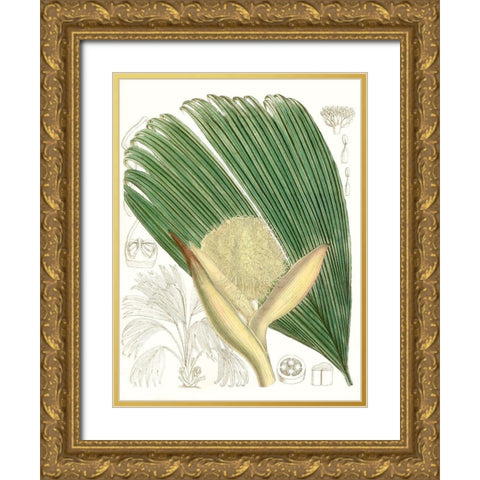 Palm Melange II Gold Ornate Wood Framed Art Print with Double Matting by Curtis