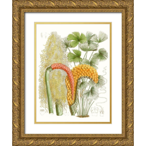 Palm Melange IV Gold Ornate Wood Framed Art Print with Double Matting by Curtis