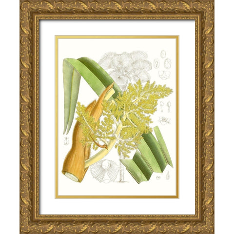 Palm Melange V Gold Ornate Wood Framed Art Print with Double Matting by Curtis
